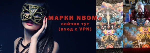 амф Верхний Тагил