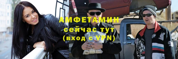 амф Верхний Тагил