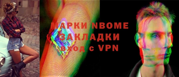 сатива Верея