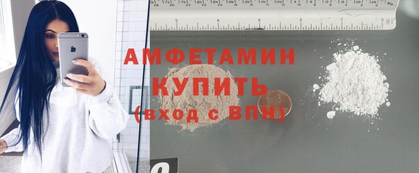 амф Верхний Тагил
