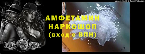 сатива Верея