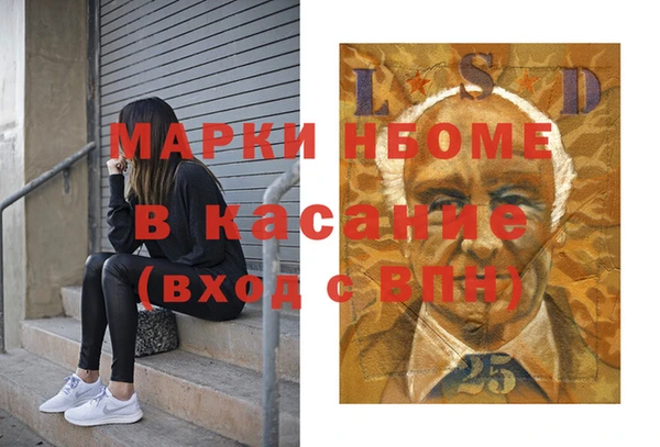 амф Верхний Тагил
