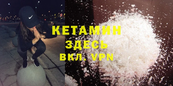 сатива Верея