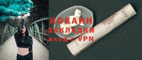 амф Верхний Тагил