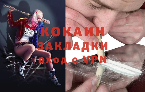 сатива Верея