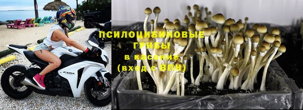 амф Верхний Тагил