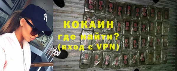 амф Верхний Тагил