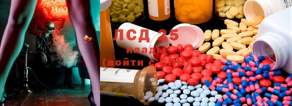 сатива Верея